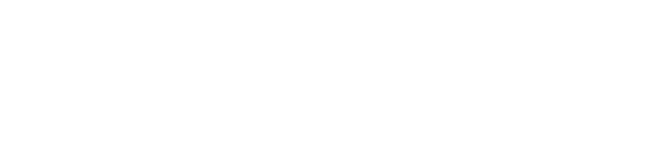wooftok logo